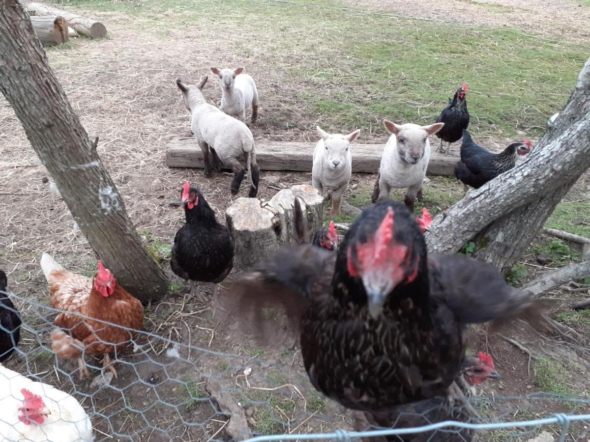 The Byre North End Farm Bed & Breakfast Ashton Keynes Екстериор снимка